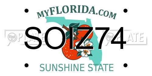 SOIZ74 Florida License Plate