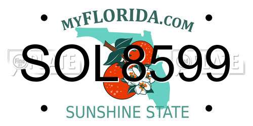 SOL8599 Florida License Plate