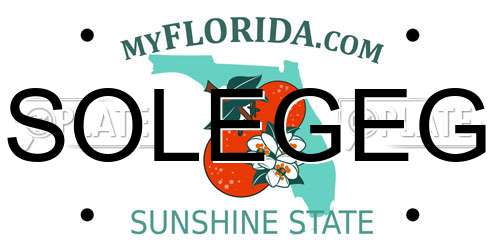 SOLEGEG Florida License Plate