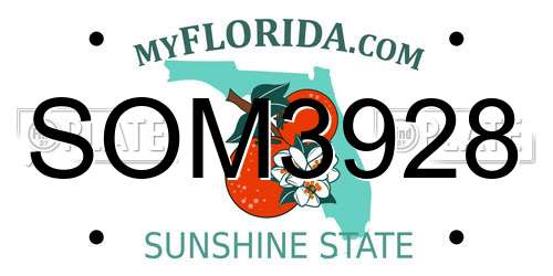 SOM3928 Florida License Plate