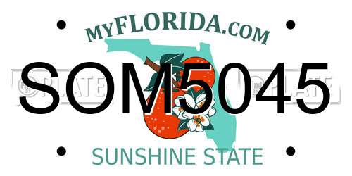 SOM5045 Florida License Plate