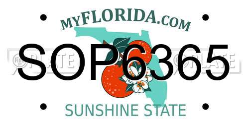 SOP6365 Florida License Plate