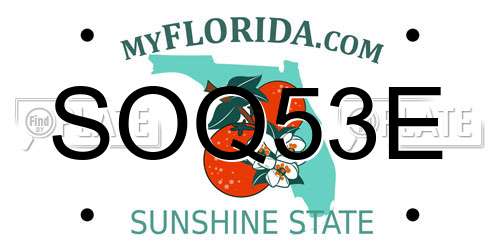 SOQ53E Florida License Plate