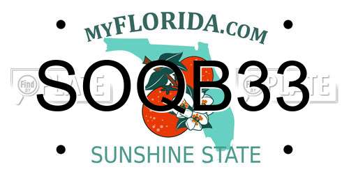 SOQB33 Florida License Plate