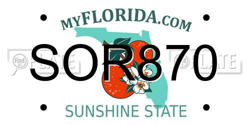 SOR870 Florida License Plate