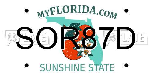 SOR87D Florida License Plate