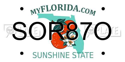 SOR87O Florida License Plate