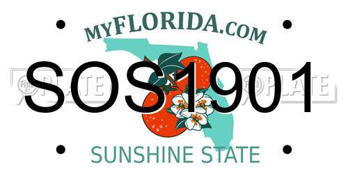 SOS1901 Florida License Plate
