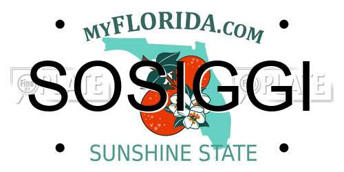 SOSIGGI Florida License Plate