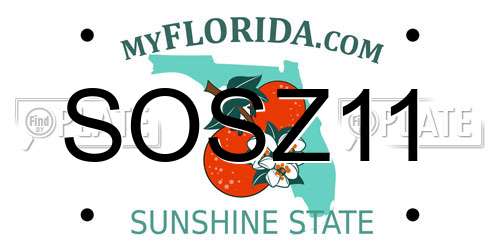 SOSZ11 Florida License Plate