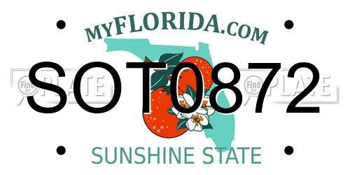 SOT0872 Florida License Plate