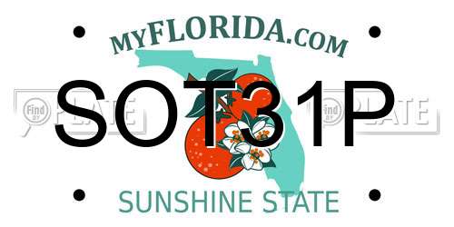 SOT31P Florida License Plate