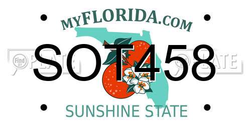 SOT458 Florida License Plate