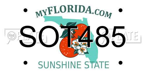 SOT485 Florida License Plate