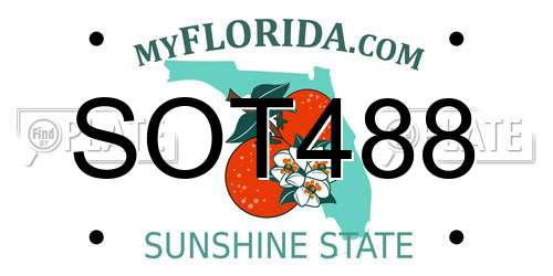 SOT488 Florida License Plate