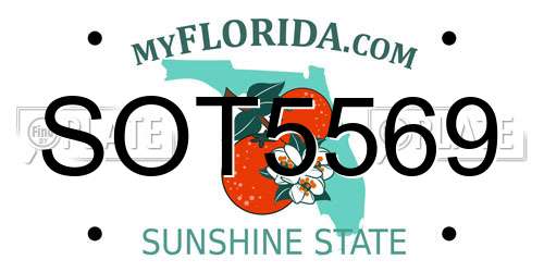 SOT5569 Florida License Plate