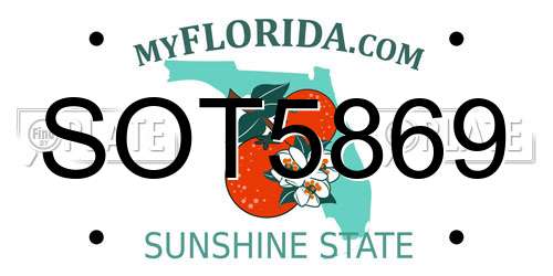 SOT5869 Florida License Plate