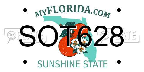 SOT628 Florida License Plate