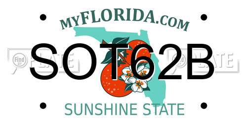 SOT62B Florida License Plate