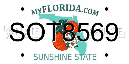 SOT8569 Florida License Plate