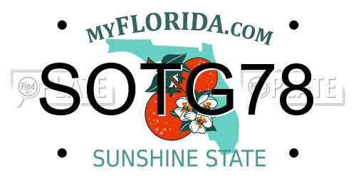 SOTG78 Florida License Plate