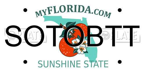 SOTOBTT Florida License Plate