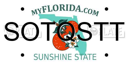 SOTQSTT Florida License Plate