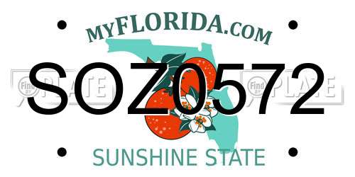 SOZ0572 Florida License Plate