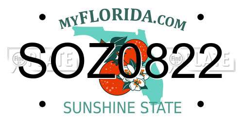 SOZ0822 Florida License Plate