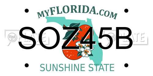 SOZ45B Florida License Plate