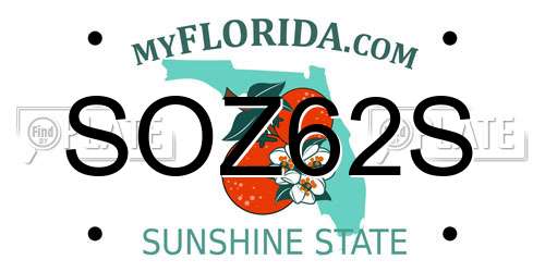 SOZ62S Florida License Plate