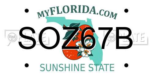 SOZ67B Florida License Plate