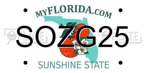 SOZG25 Florida License Plate