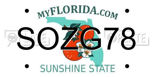 SOZG78 Florida License Plate