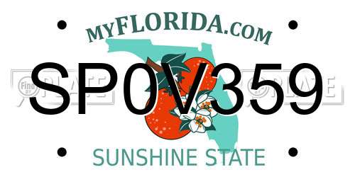 SP0V359 Florida License Plate