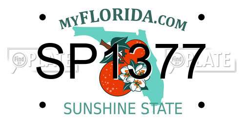 SP1377 Florida License Plate