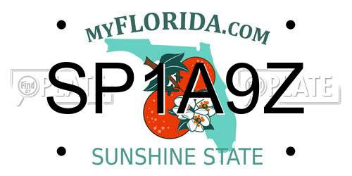 SP1A9Z Florida License Plate