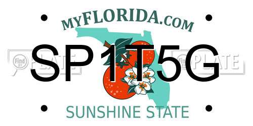 SP1T5G Florida License Plate
