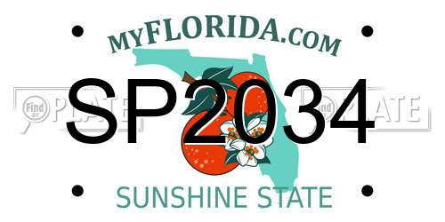 SP2034 Florida License Plate