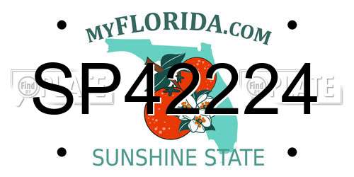 SP42224 Florida License Plate
