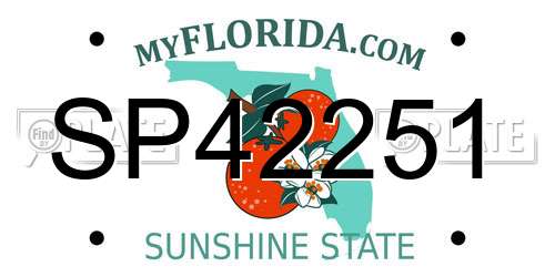SP42251 Florida License Plate