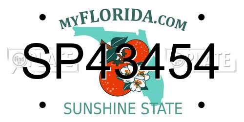 SP43454 Florida License Plate