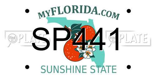 SP441 Florida License Plate