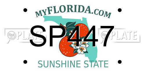 SP447 Florida License Plate