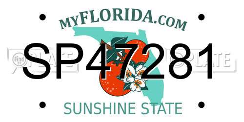 SP47281 Florida License Plate
