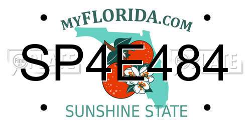 SP4E484 Florida License Plate