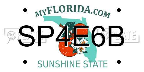 SP4E6B Florida License Plate