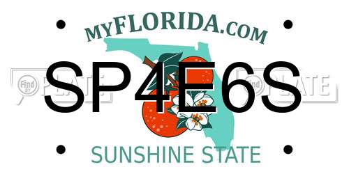 SP4E6S Florida License Plate