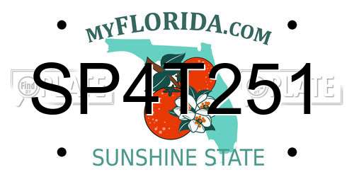 SP4T251 Florida License Plate