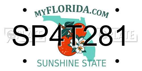 SP4T281 Florida License Plate